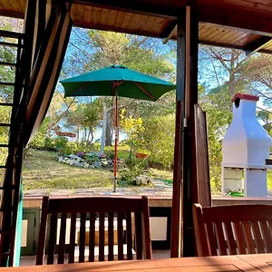  Appartamento All'ombra Dei Pini - Casa Vacanze Italia